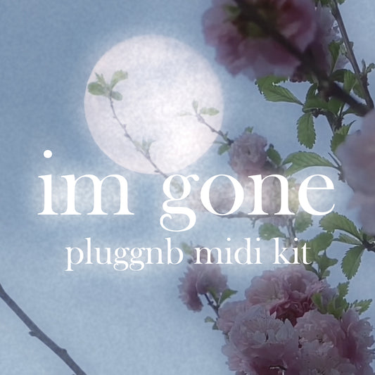 Im Gone Pluggnb Midi Kit